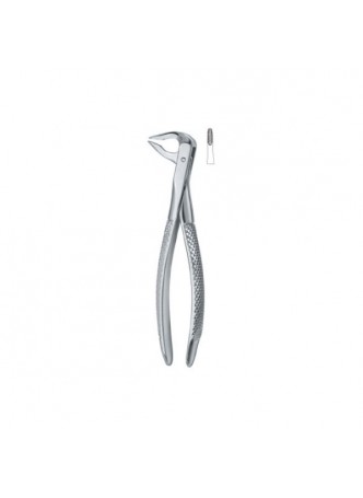 Tooth Ext Forceps